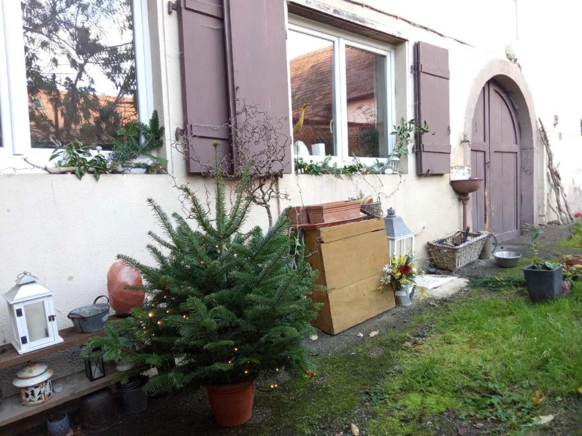La Chambre Rose Rosenwiller Kültér fotó
