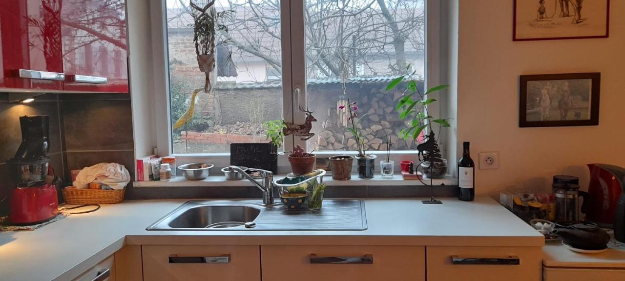 La Chambre Rose Rosenwiller Kültér fotó